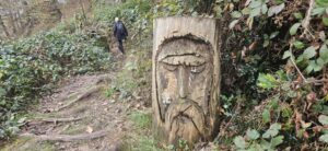Im Wald