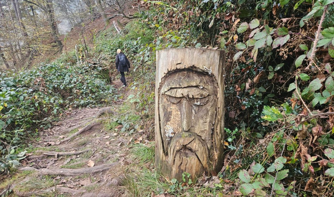 Wichtel im Wald